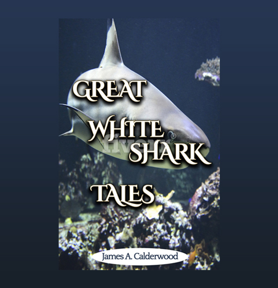 Great white shark tales